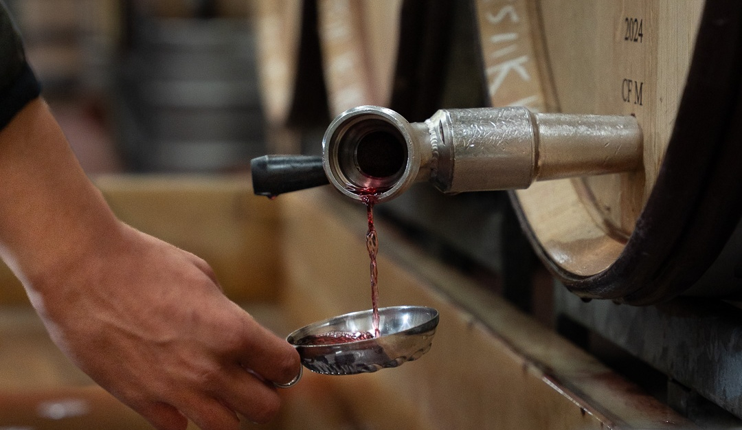 vinium_sylius_wine_plugin.ui.label - Bourgogne Pinot Noir Terroir Noble