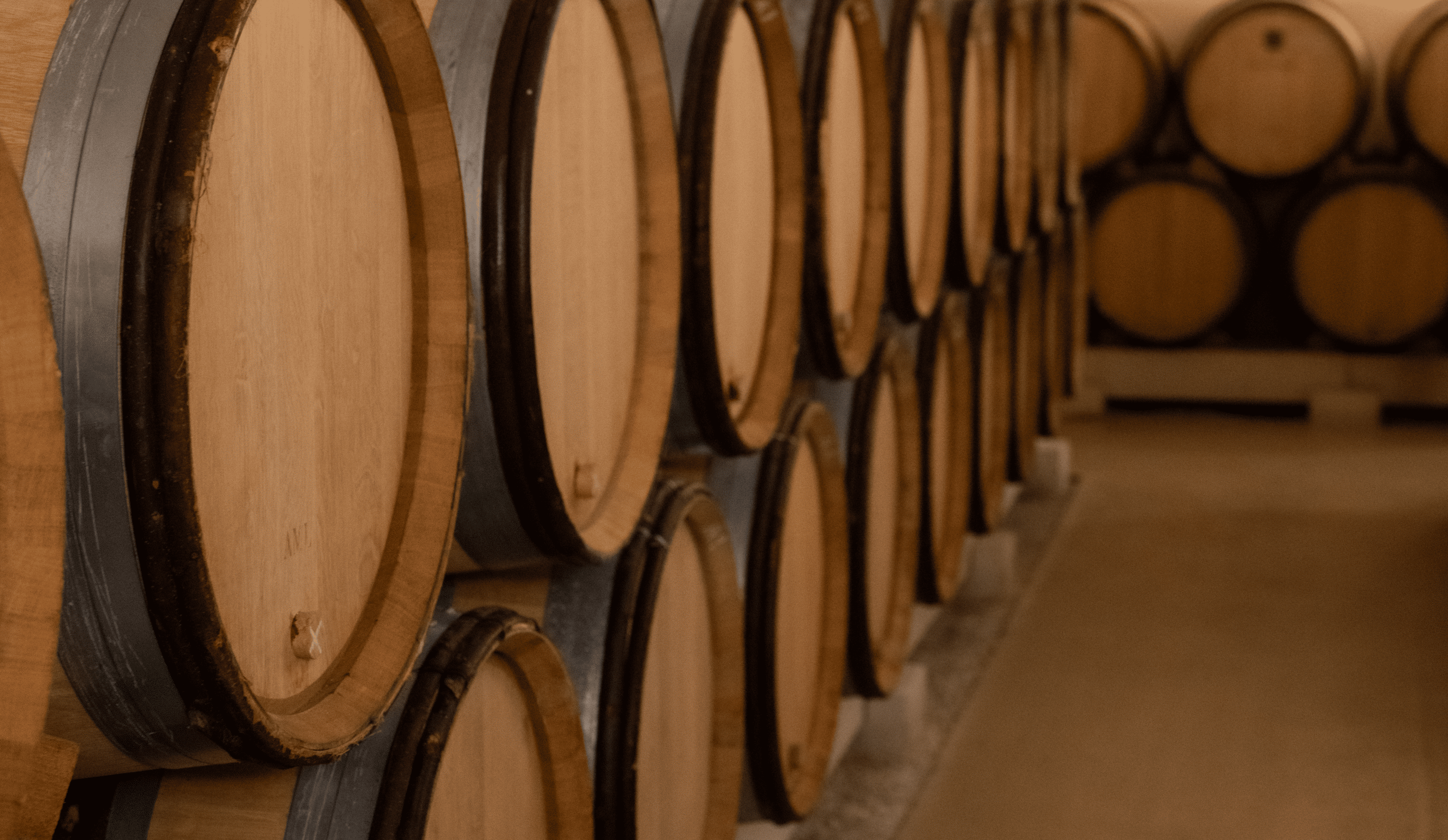 vinium_sylius_wine_plugin.ui.label - Chassagne-Montrachet 1er Cru  La Romanée