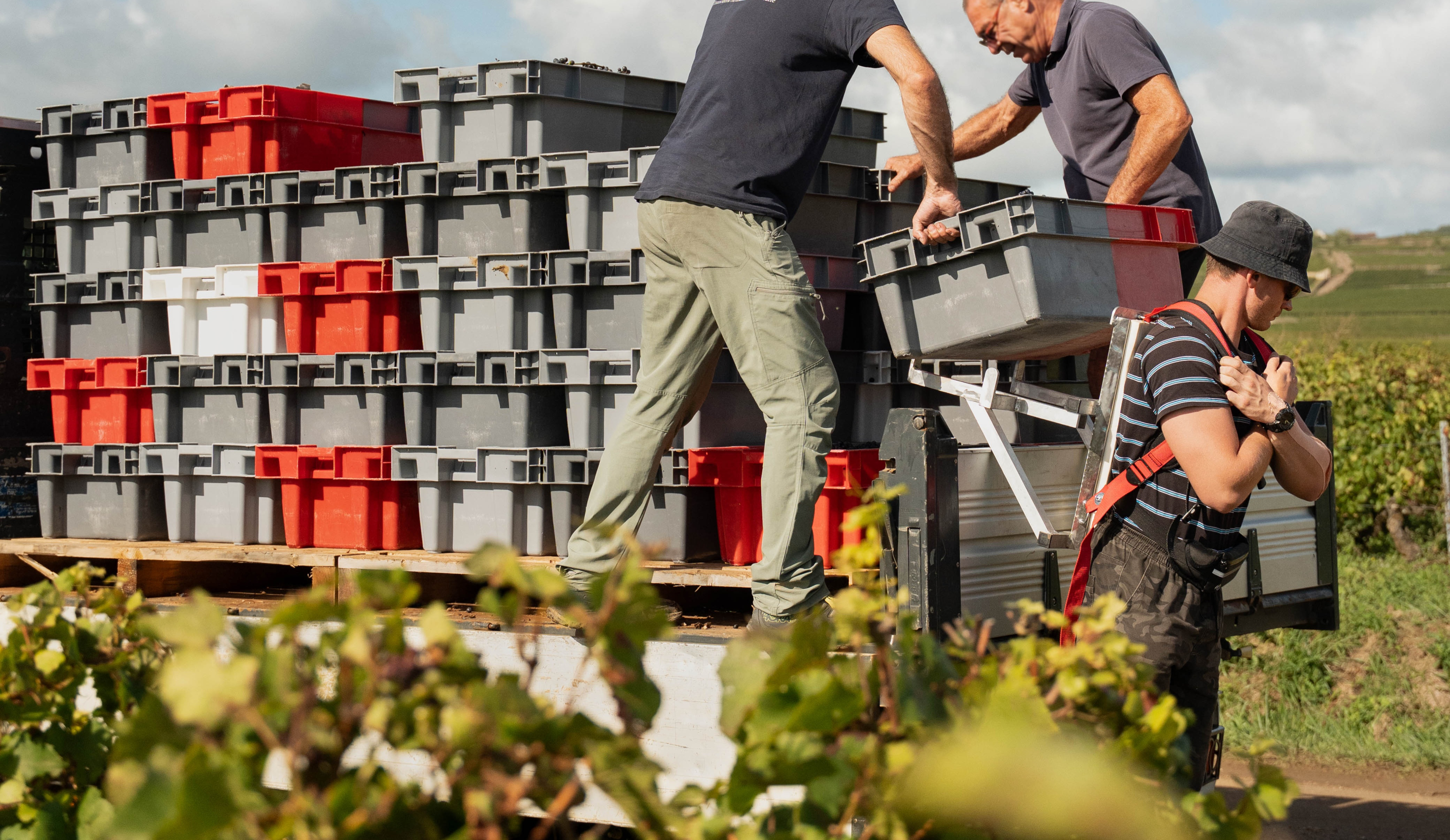 vinium_sylius_wine_plugin.ui.label - Chorey-les-Beaune Vieilles Vignes