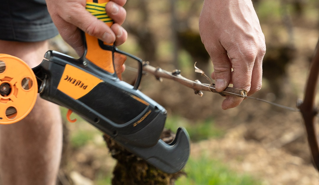 vinium_sylius_wine_plugin.ui.label - Corton-Charlemagne Grand Cru