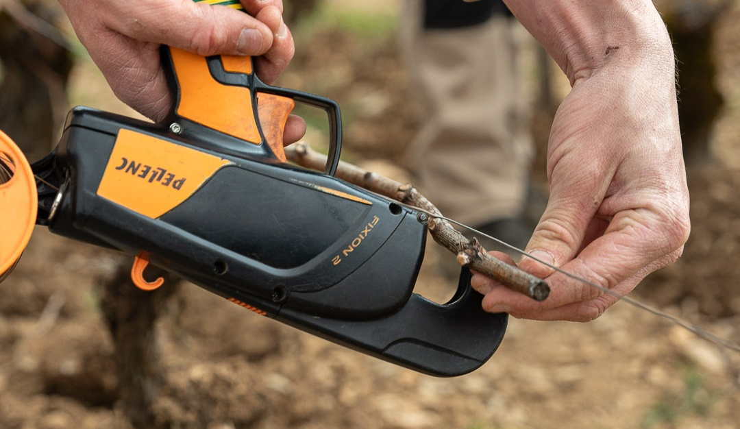vinium_sylius_wine_plugin.ui.label - Corton-Charlemagne Quintessence  Grand Cru