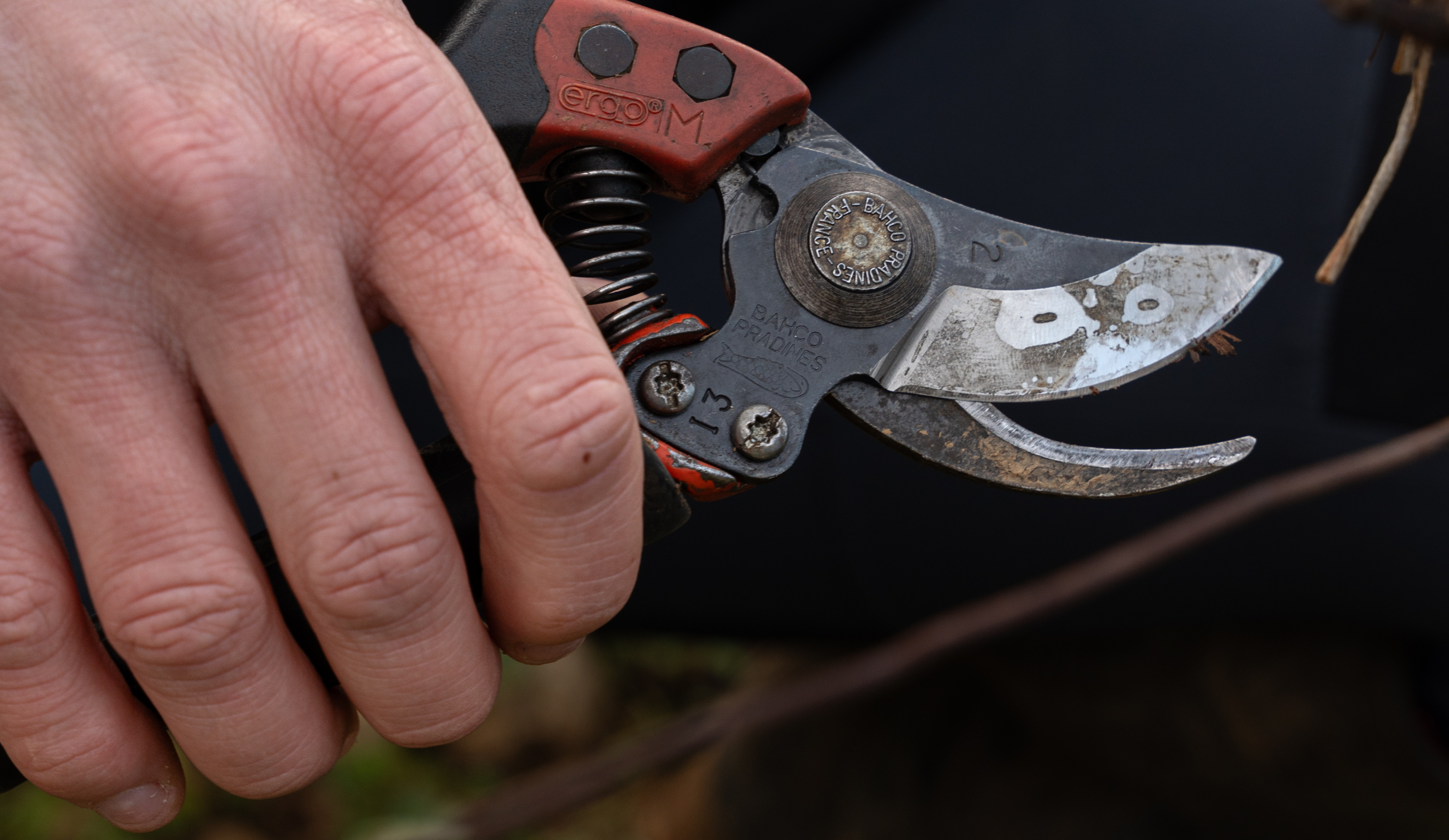 vinium_sylius_wine_plugin.ui.label - Meursault 1er Cru Blagny