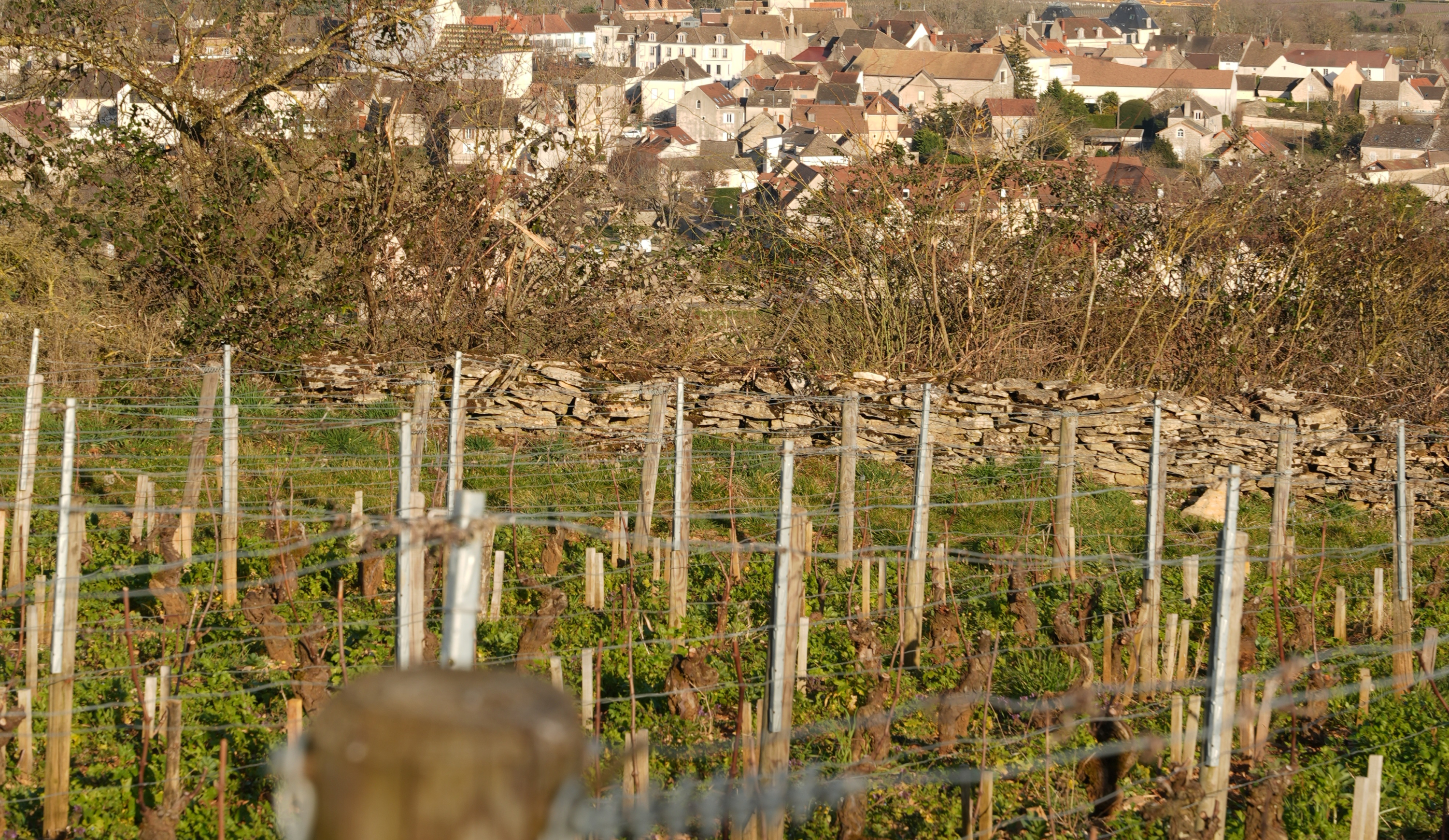 vinium_sylius_wine_plugin.ui.label - Meursault 1er Cru Les Casse-Têtes