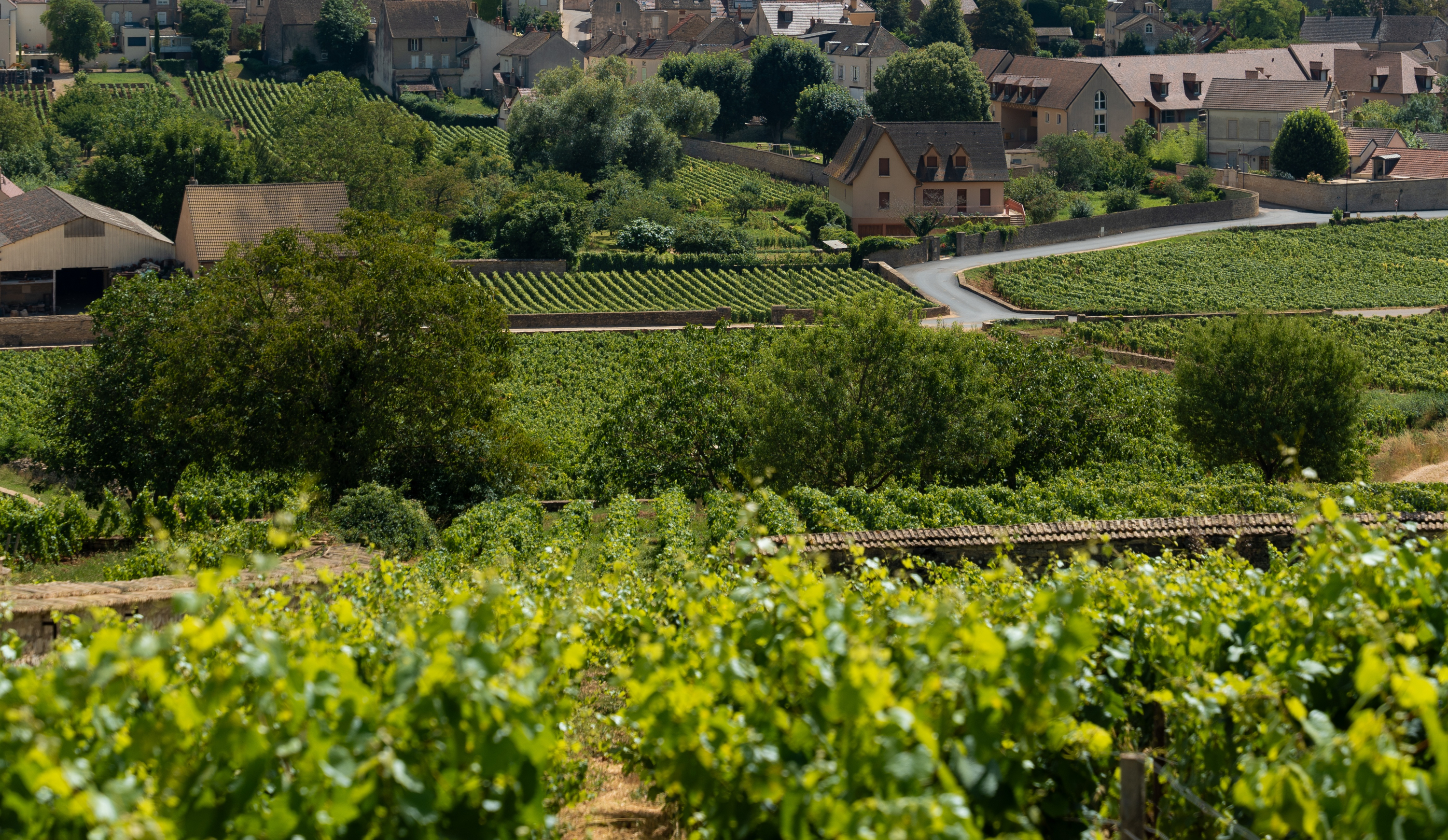 vinium_sylius_wine_plugin.ui.label - Meursault 1er cru Les Genevrières