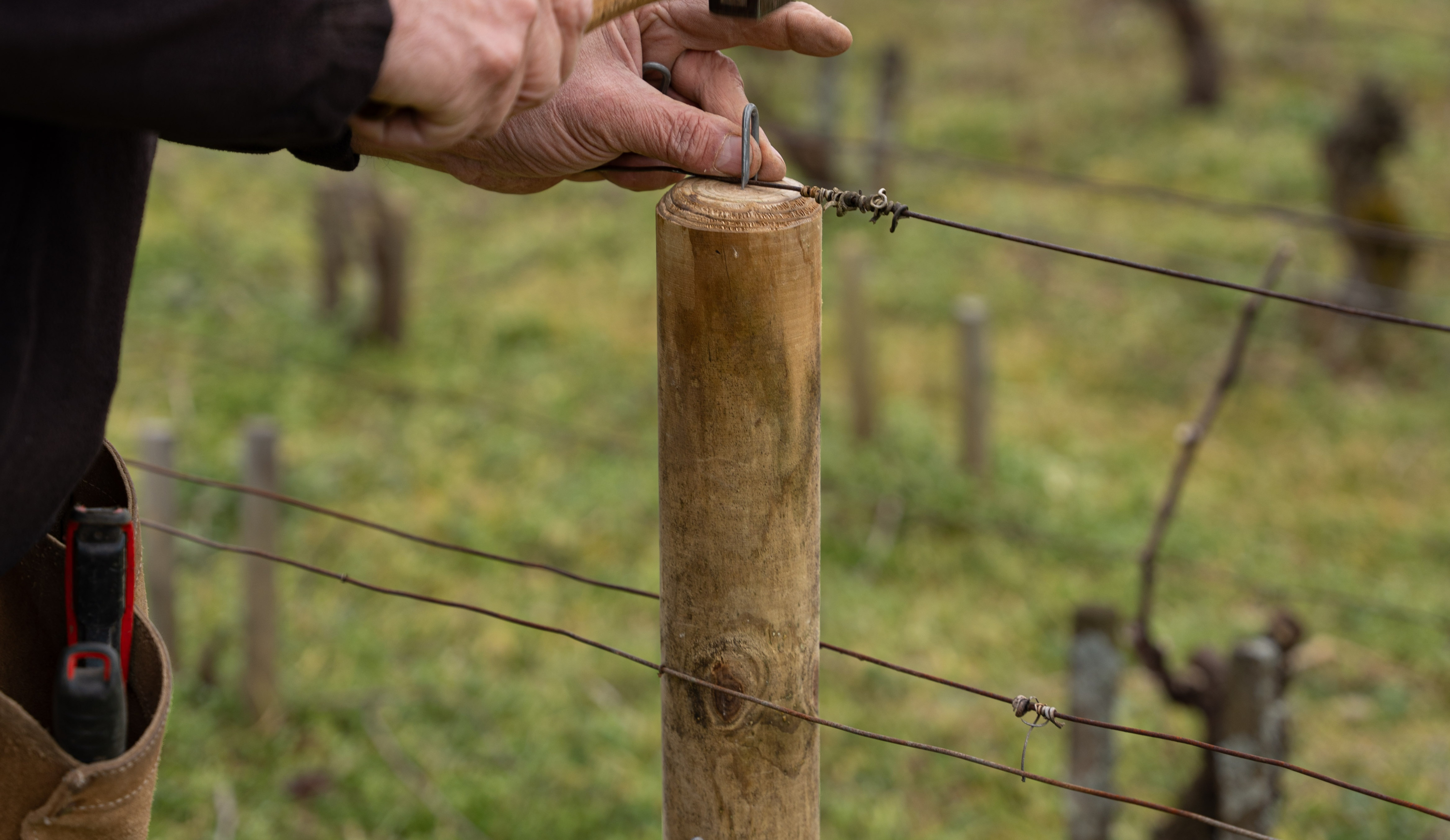 vinium_sylius_wine_plugin.ui.label - Meursault  Les Narvaux