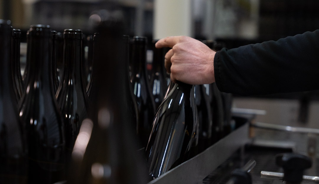 vinium_sylius_wine_plugin.ui.label - Pouilly-Fuissé Vieilles Vignes