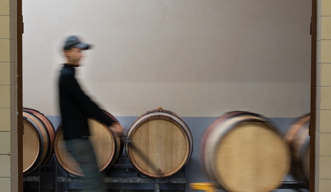 vinium_sylius_wine_plugin.ui.label - Puligny-Montrachet 1er cru  Les Champs Gains