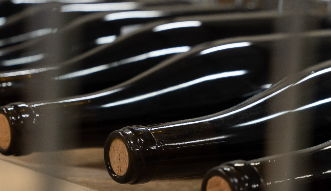 vinium_sylius_wine_plugin.ui.label - Puligny Montrachet 1er Cru Les Pucelles