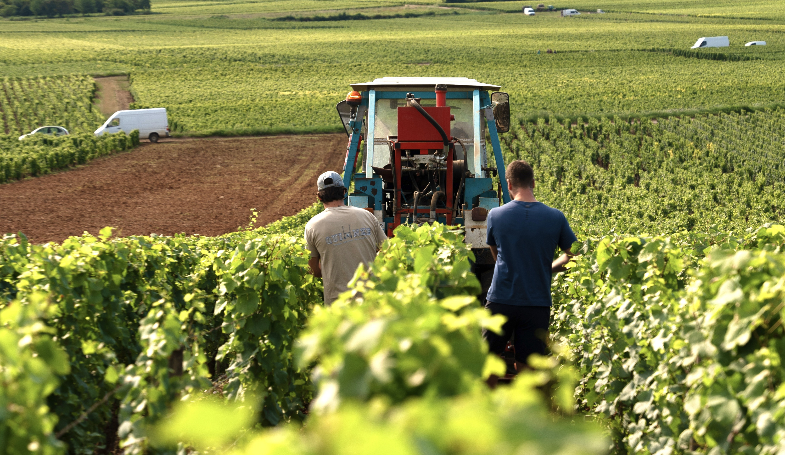 vinium_sylius_wine_plugin.ui.label - Rully 1er Cru  Gresigny