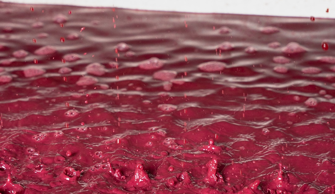 vinium_sylius_wine_plugin.ui.label - Santenay  Vieilles Vignes Rouge