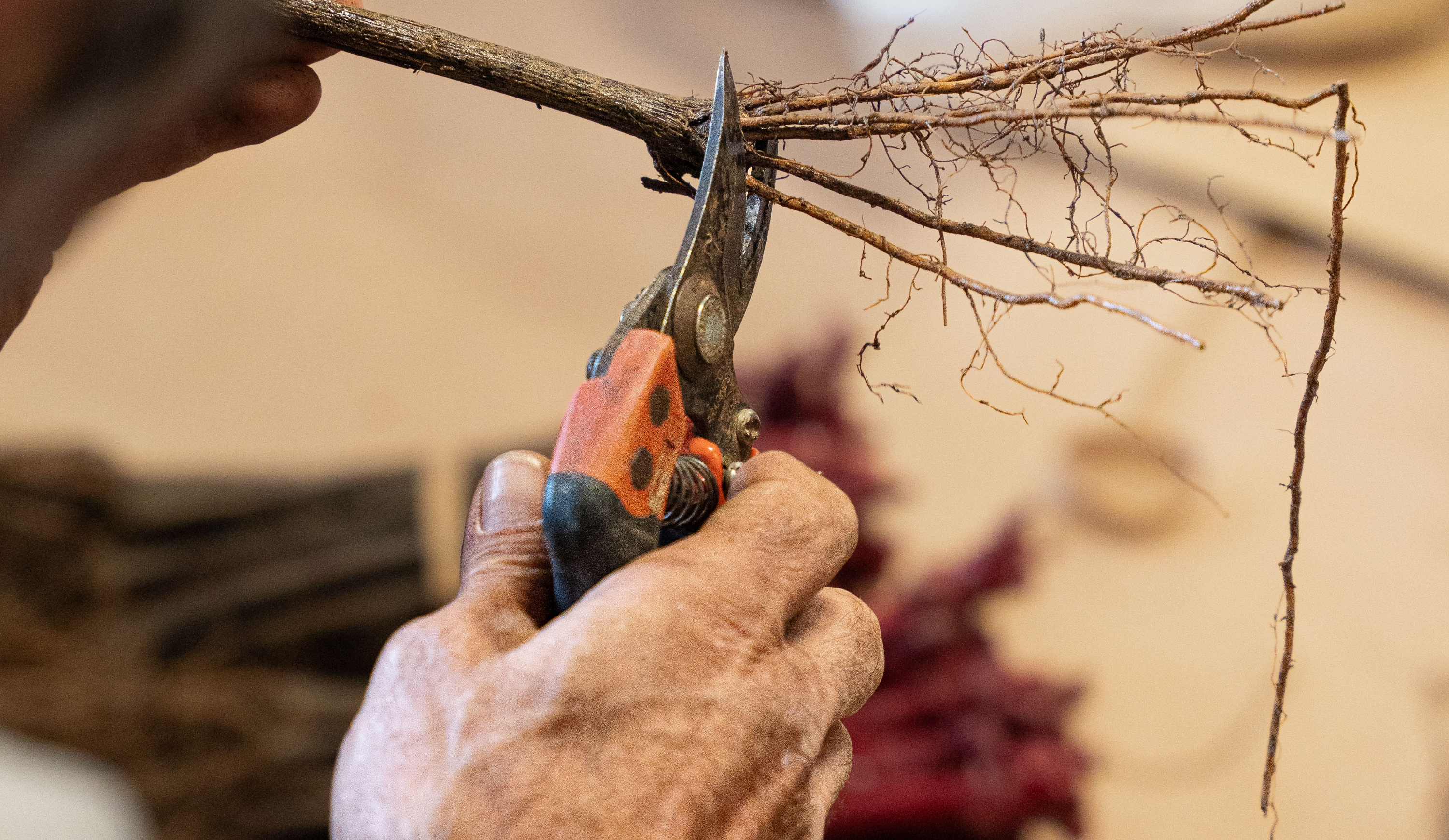 vinium_sylius_wine_plugin.ui.label - Saint-Aubin 1er Cru  Les Perrières