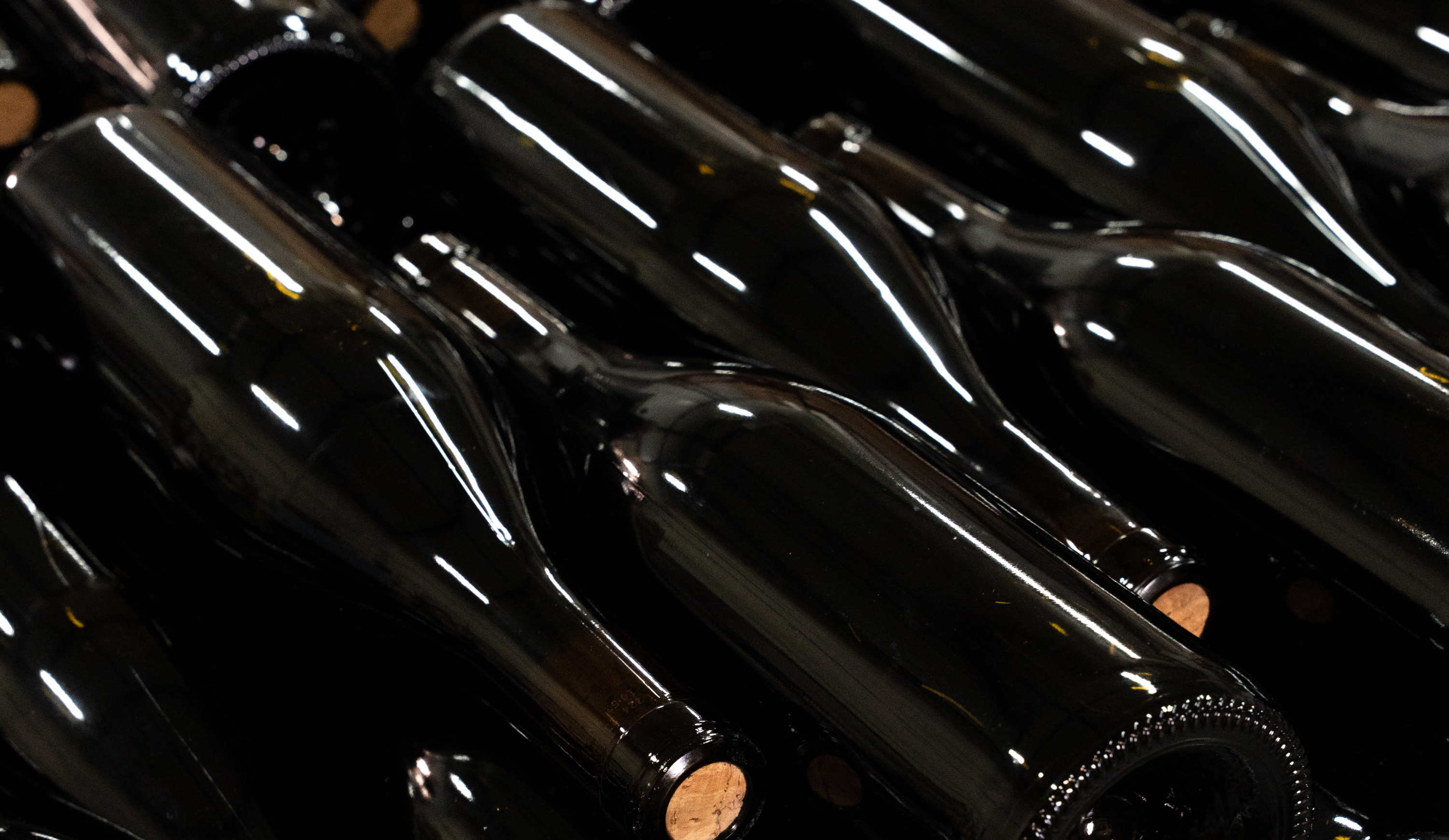 vinium_sylius_wine_plugin.ui.label - Saint Aubin 1er Cru Les Murgers Les Dents de Chien