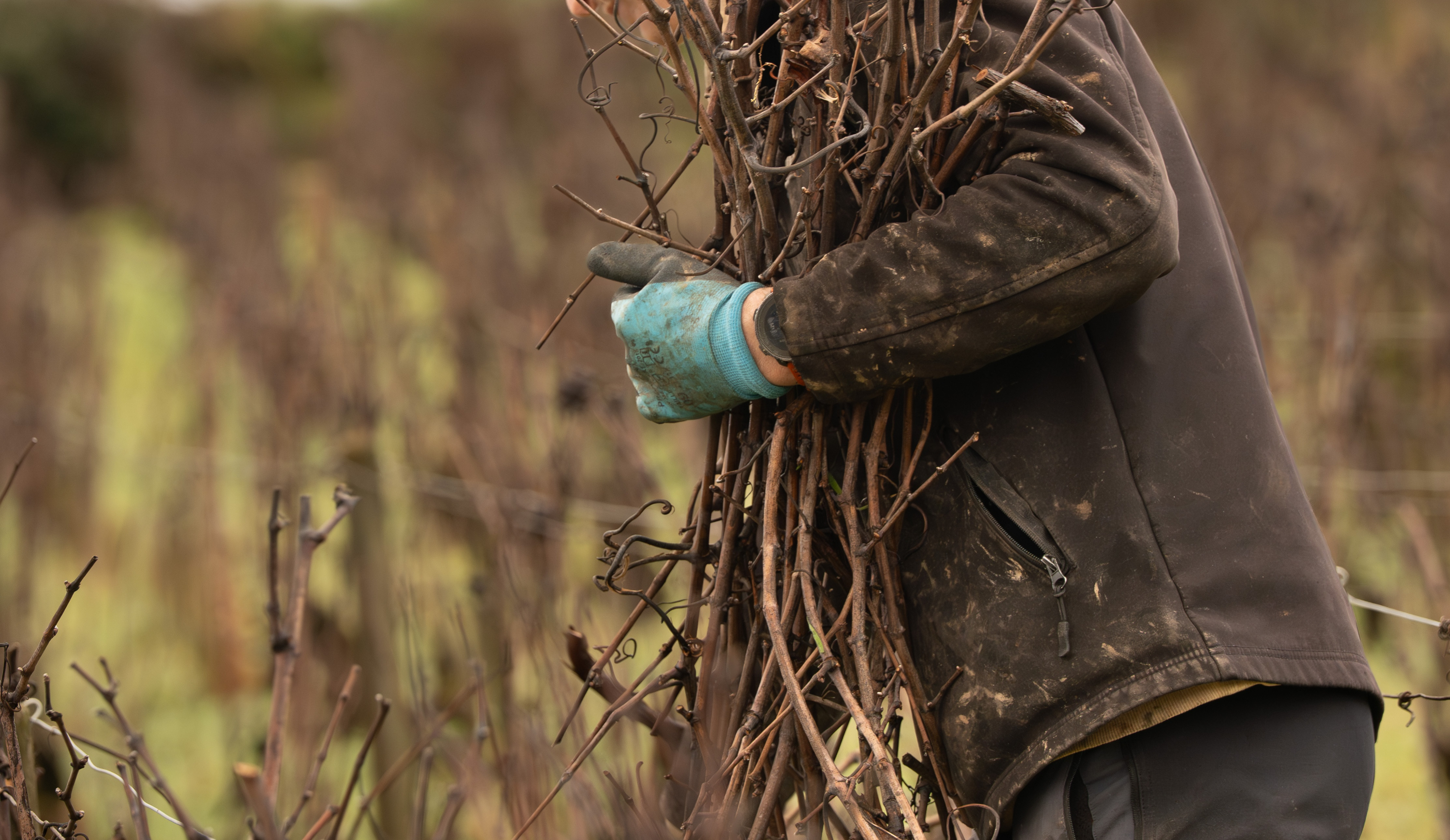vinium_sylius_wine_plugin.ui.label - Saint-Aubin 1er Cru En Remilly