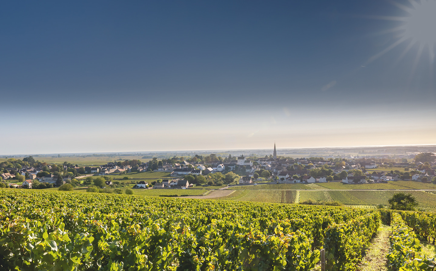 The wines of Domaine Vincent Girardin | Burgundy, Meursault